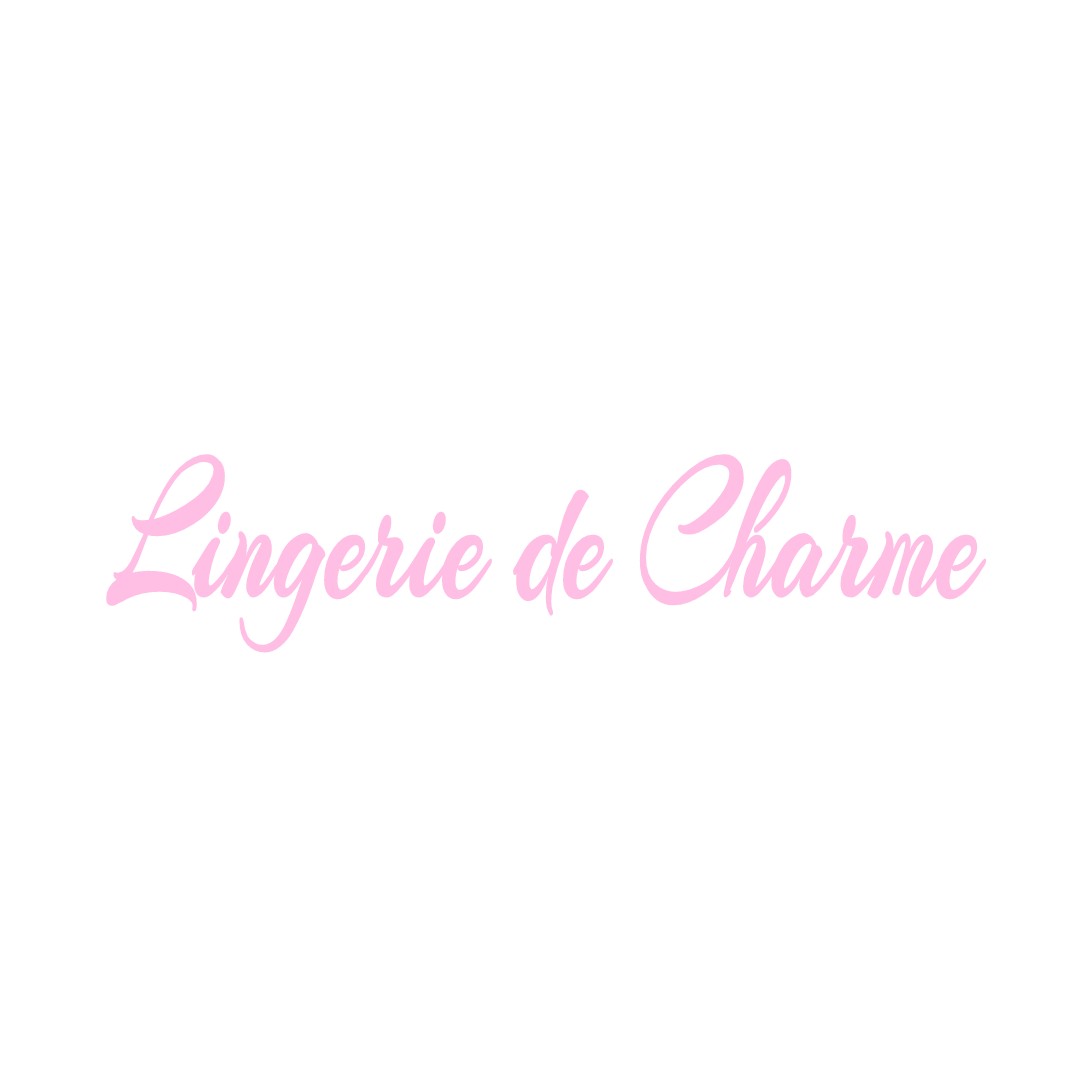 LINGERIE DE CHARME LA-ROCHE-MAURICE